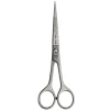 Hair Cut Ciseaux de coupe droits 6.5 Online