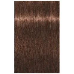 Schwarzkopf Professional Coloration permanente Igora Royal 6-68 blond foncé chocolat rouge Online