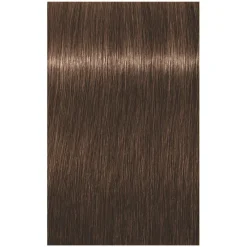 Schwarzkopf Professional Coloration permanente Igora Royal 6-6 blond foncé chocolat Clearance