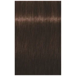 Schwarzkopf Professional Coloration permanente Igora Royal 4-6 châtain chocolat Online