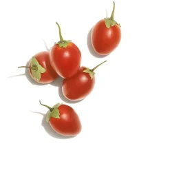 Wella Professionals Conditionneur nutrition intense Invigo Nutri-Enrich Discount