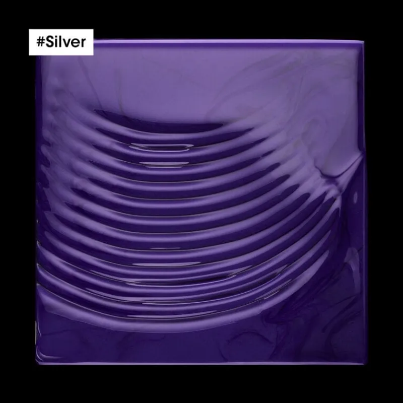 L’Oréal Professionnel Paris Duo recharge déjaunissant Silver + shampooing 500ml Best