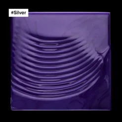 L’Oréal Professionnel Paris Duo recharge déjaunissant Silver + shampooing 300ml Best