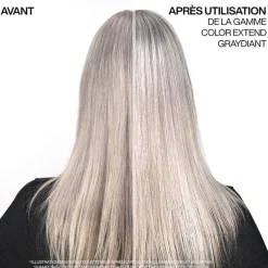 Redken Le rituel Color Extend Graydiant pour cheveux gris et blancs Outlet