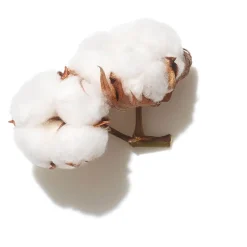 Wella Professionals Masque crystal Invigo Volume Boost Hot