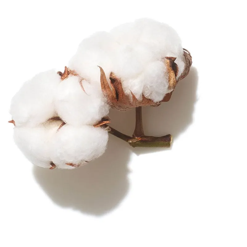 Wella Professionals Masque crystal Invigo Volume Boost Hot