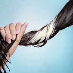 Cut by Fred Masque Vegan Repair Discount