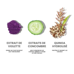 Eleven Australia Routine cheveux blonds Sale