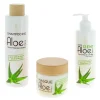 Soteix Routine hydratante pour tous types de cheveux Aloe Vera Hot