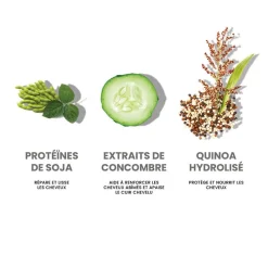 Eleven Australia Routine lissante Smooth Me Now New