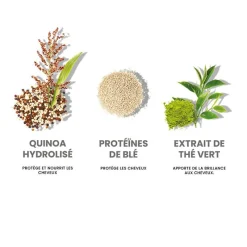 Eleven Australia Routine nourrissante Repair My Hair Hot