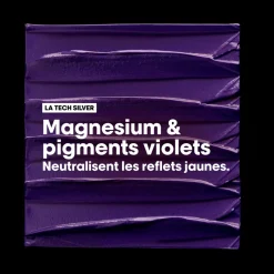 L’Oréal Professionnel Paris Shampooing déjaunissant Silver 1500 ml Online