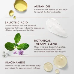 Moroccanoil Shampooing équilibrant cuir chevelu Best