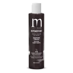 Patrice Mulato Shampooing repigmentant cheveux naturels ou colorés cendreur New