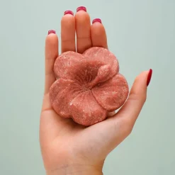 Kalia Nature Shampooing solide cheveux texturés à l'hibiscus