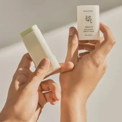 Beauty of Joseon Stick de protection solaire 50+