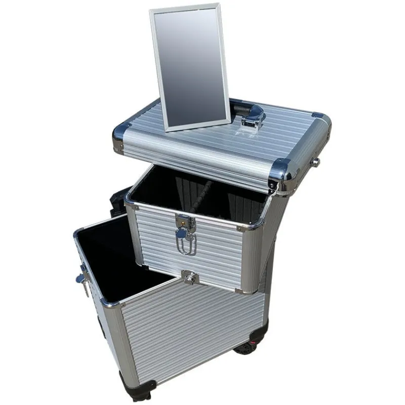 La Boutique du Coiffeur Valise 2 étages argenté Hot